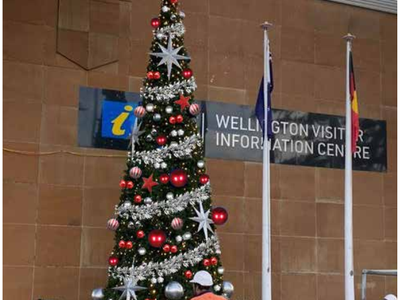 Wellington Tree Install