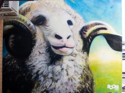 Sir Henry (Kater’s Ram)