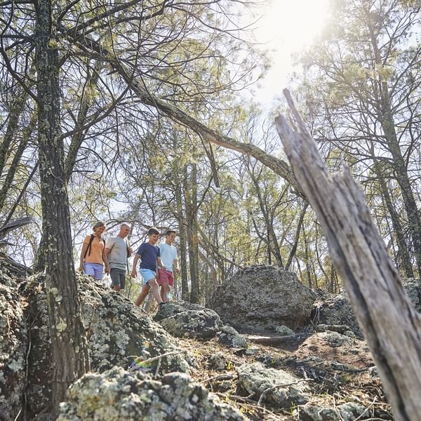 Attractions - Family Exploring The Native Bushland On Mount Arthur Reserve
