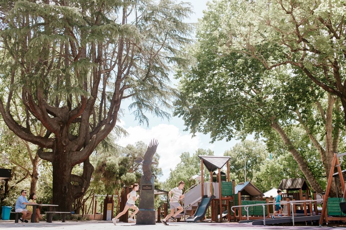 BLOG Cameron Park Playground