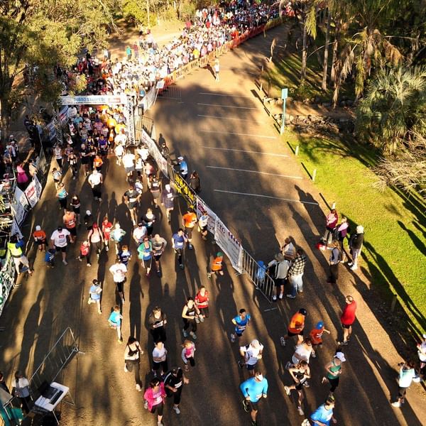 Dubbo Stampede