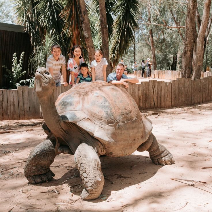 Family with a Giant Tortoise at Taronga Western Plains Zoo