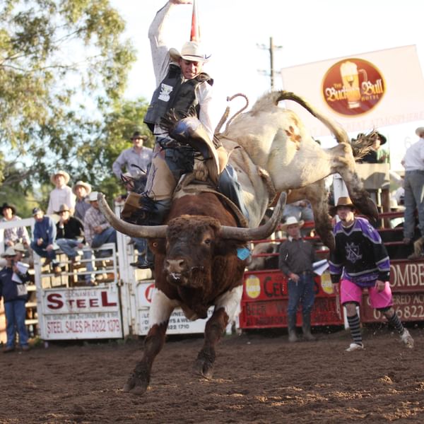 Chris Lowe on bucking bull at Coonamble Rodeo and Campdraft