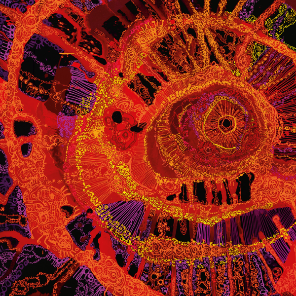 naidoc