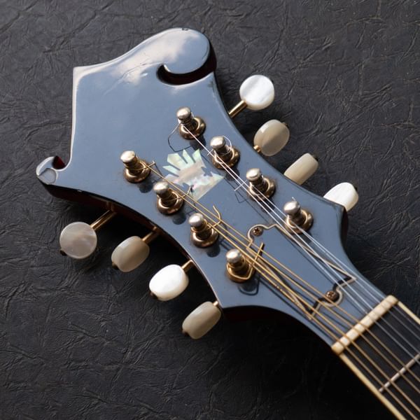 Mandolin2