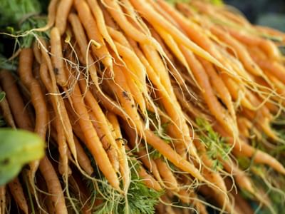VISIT BUSINESSLISTING Dubbo Farmers Market Carrots CREDIT Destination NSW