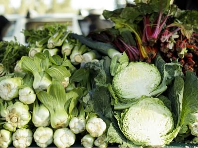 VISIT BUSINESSLISTING Dubbo Farmers Market Vegetables CREDIT Destination NSW