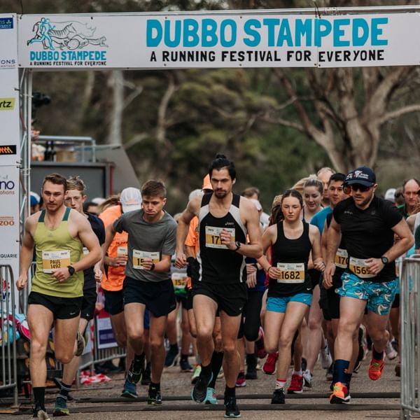 Dubbo Stampede