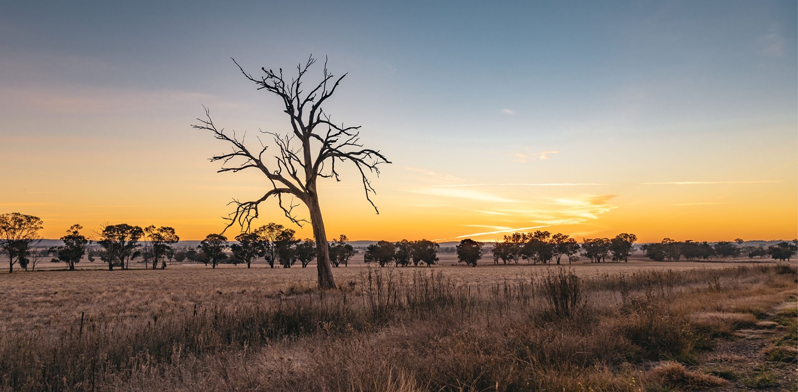 Tranquility in the Dubbo Region