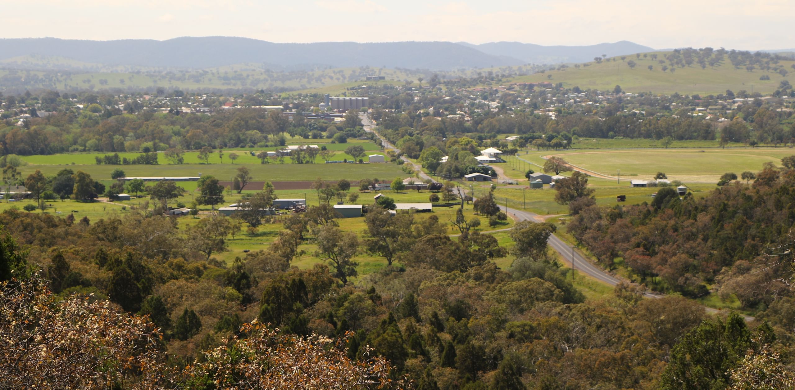 Mount Arthur