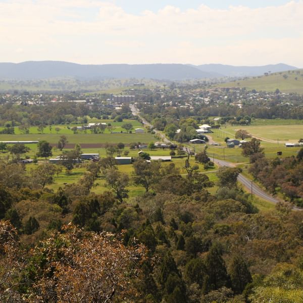 Mount Arthur
