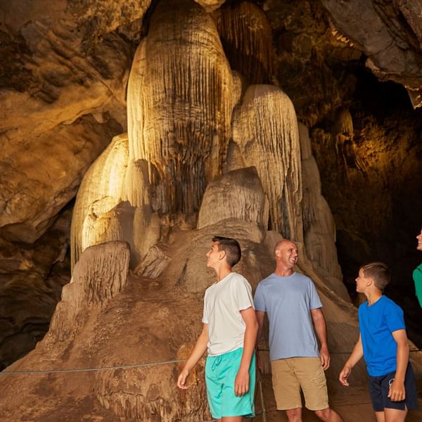 Itinerary - Discover The Wonder Underground At The Wellington Caves
