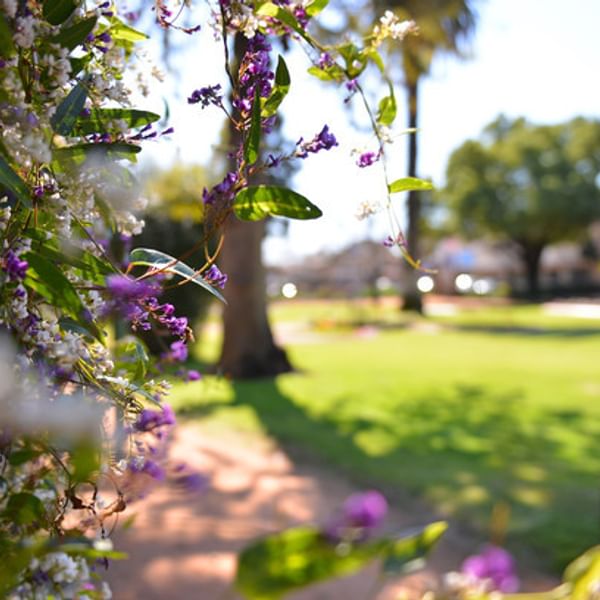 Enjoy an afternoon picnic in the prettiest park in the Region
