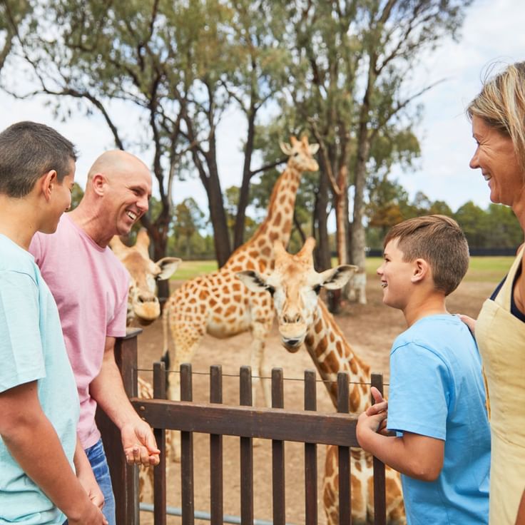 Itinerary - Greet A Giraffe At Taronga Western Plains Zoo