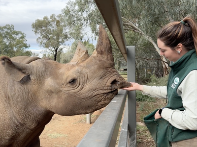 Black Rhino Bakhita