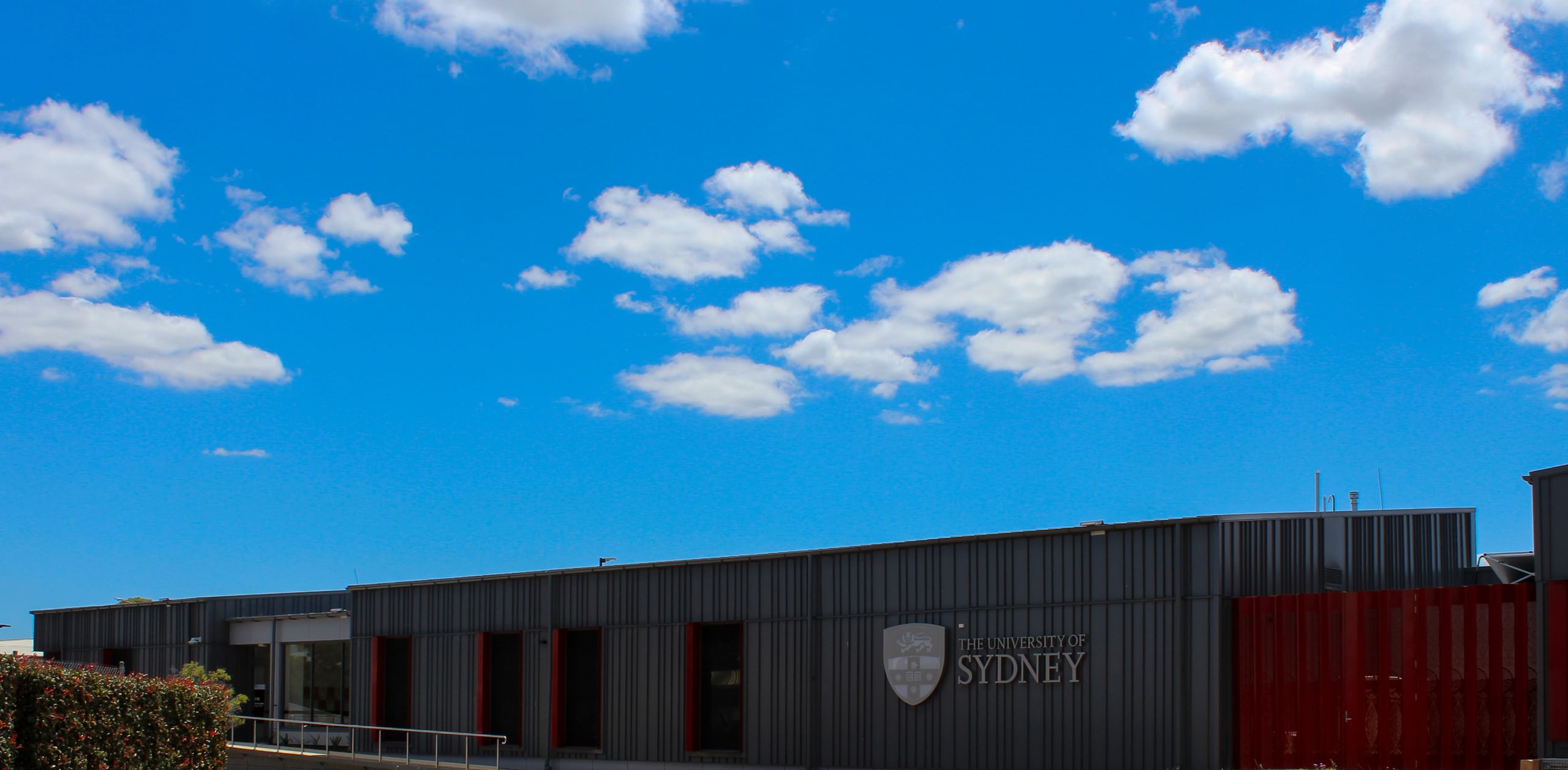 USYD School of Rural Health