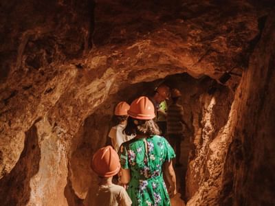 Wellington Caves website