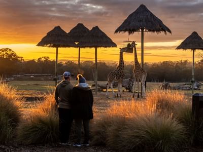 Taronga Western Plains Zoo Accommodation website