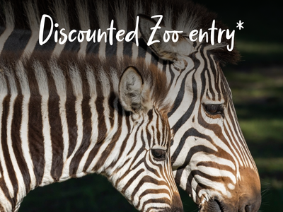 Mates Rates - Taronga Western Plains Zoo