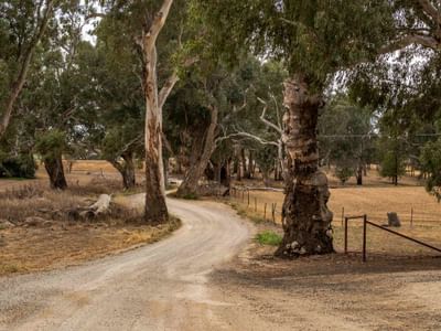 Discover roads less travelled in the Dubbo Region