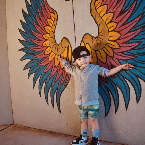 Dubbo Adventure Playground wings