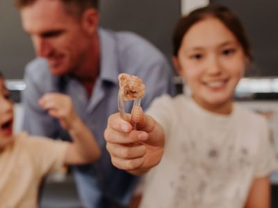 Fossil Discovery Lab 2