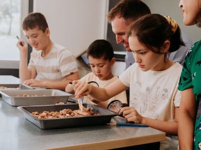 Fossil Discovery Lab 3