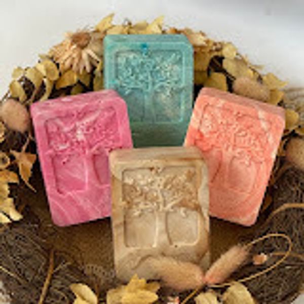 Janelles Soaps and Succulents