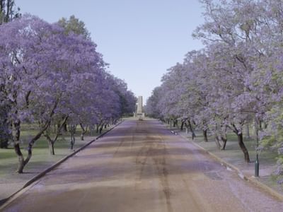 Victoria Park Drone