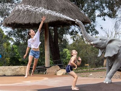 Waterhole Waterplay